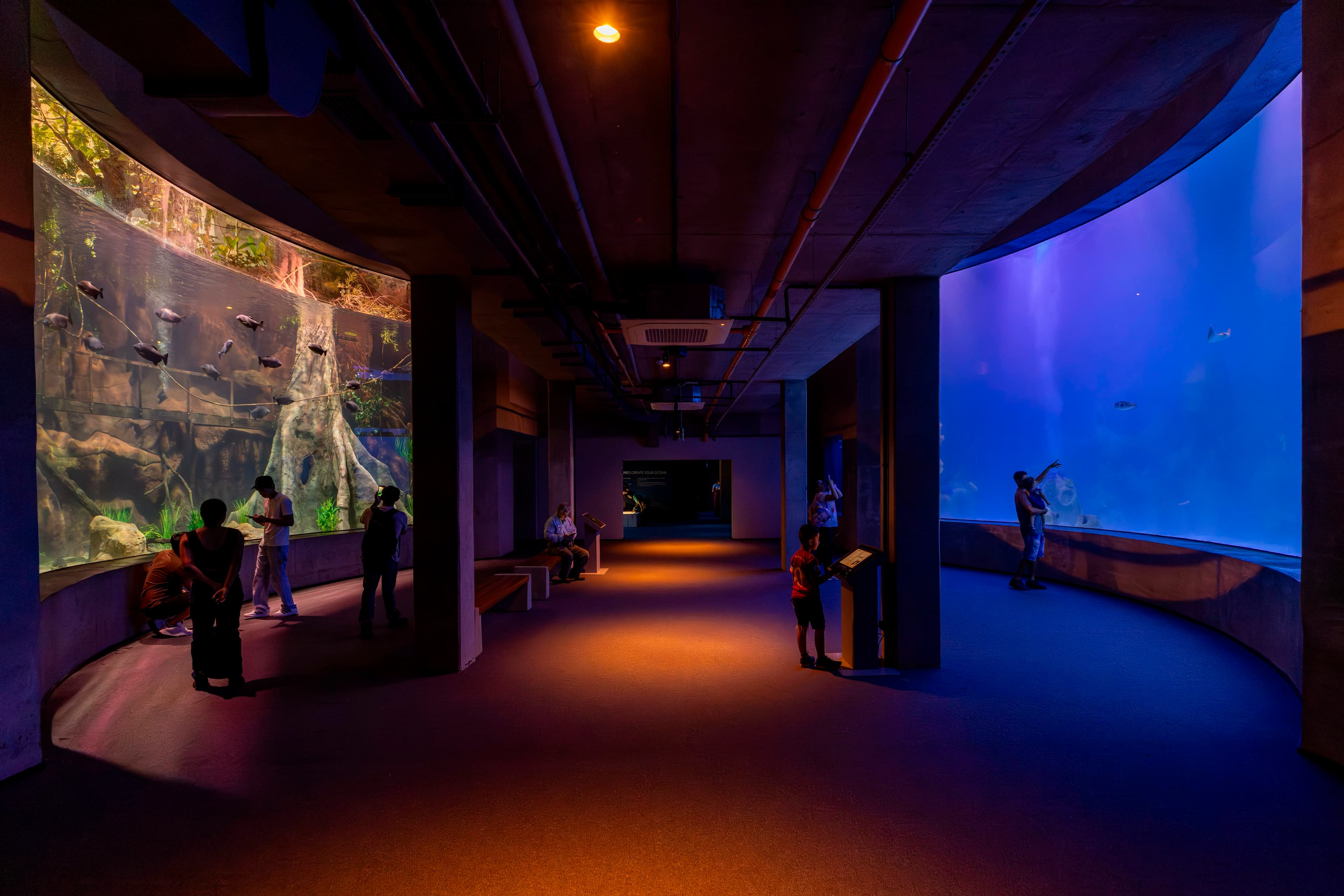 AquaFoz Aquarium - view 2