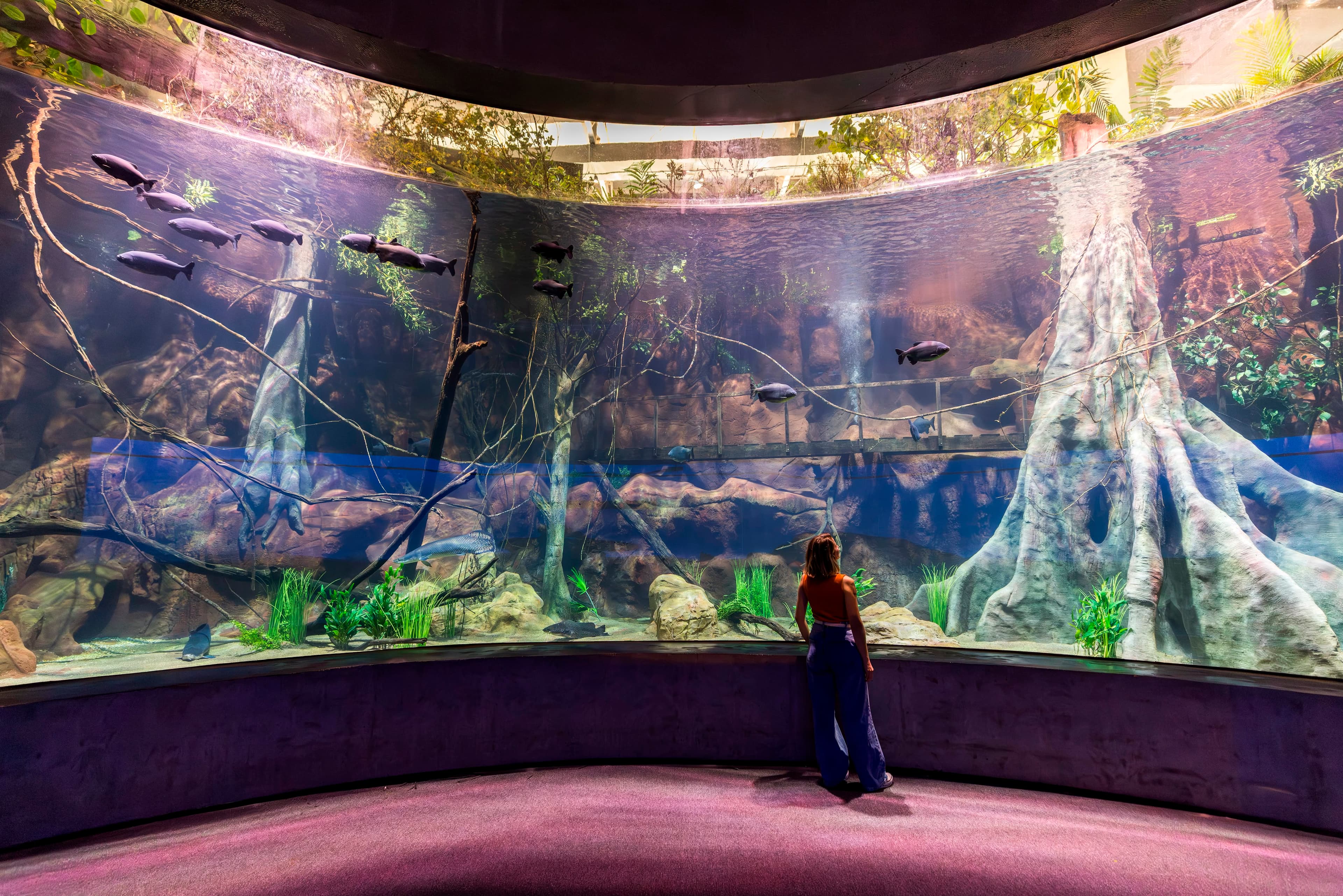 AquaFoz Aquarium - view 5